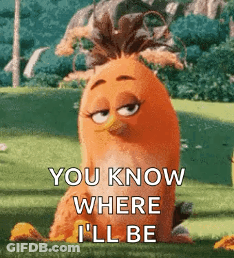 Angry Bird In Grass Saying You Know Where I'll Be GIF