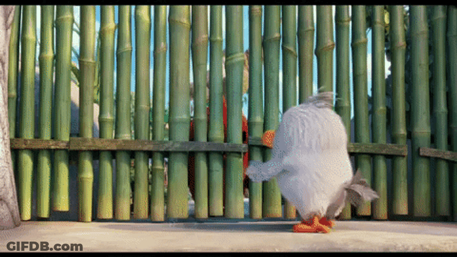 Angry Bird Powerful Door Opening GIF