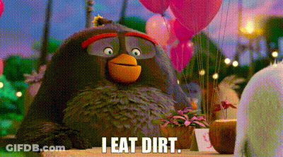 Angry Bird Sitting On Table With Balloons Saying I Eat Dirt GIF