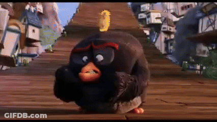 Angry Bird Standing On Wooden Platform GIF