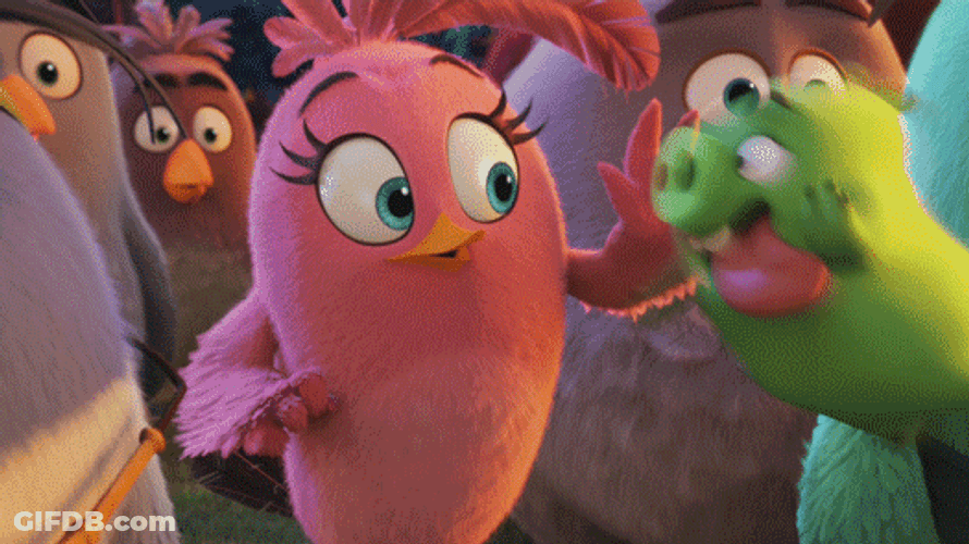 Angry Birds How You Doing Pig GIF