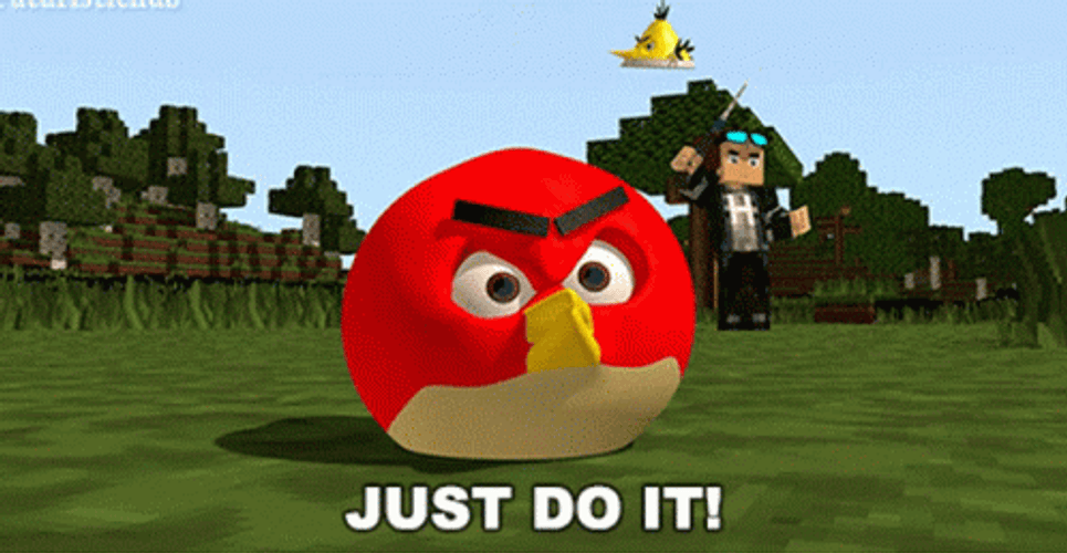 Angry Birds Just Do It GIF
