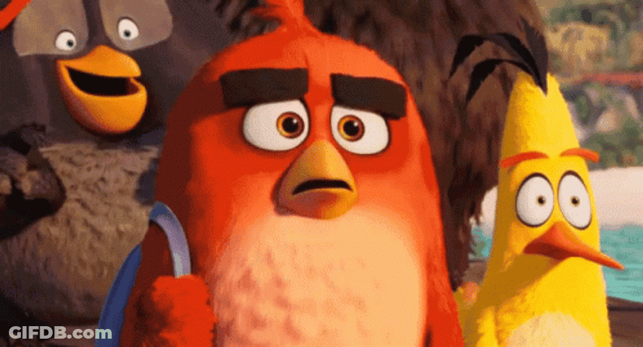 Angry Birds Looking Up GIF