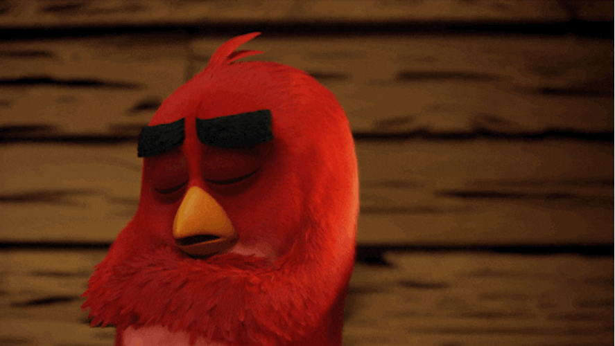 Angry Birds Nap GIF