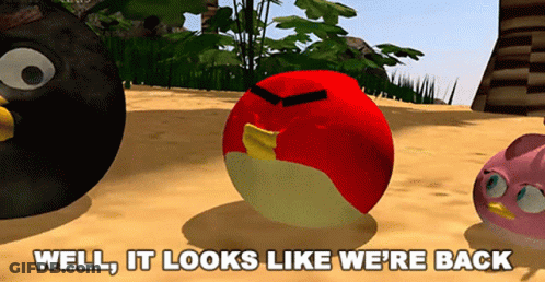 Angry Birds On A Beach With The Words Well It Looks Like We 'Re Back Below Them GIF