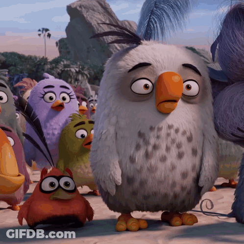 Angry Birds On Beach One Wearing Glasses GIF