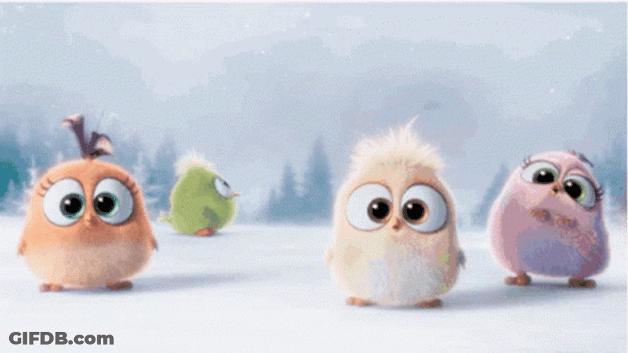 Angry Birds Peek A Boo Licking GIF