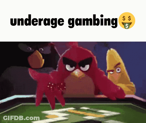 Angry Birds Playing Poker GIF