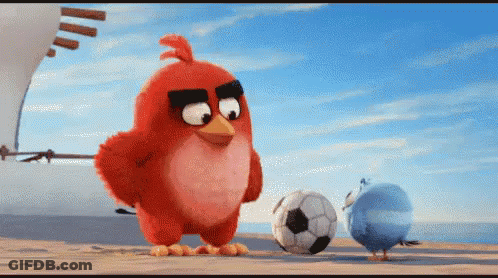 Angry Birds Playing Soccer On Beach GIF