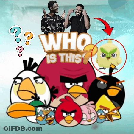 Angry Birds Poster Who Is This GIF