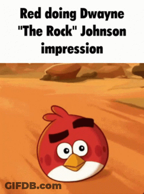 Angry Birds Rock Eyebrow GIF