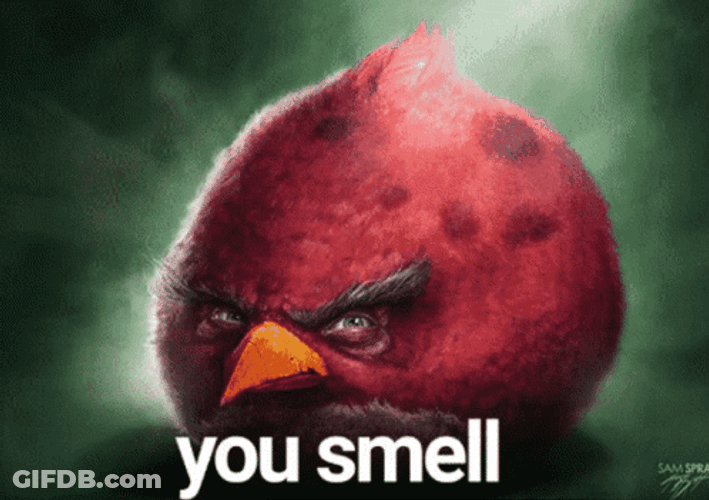 Angry Birds Stinky You Smell Red GIF