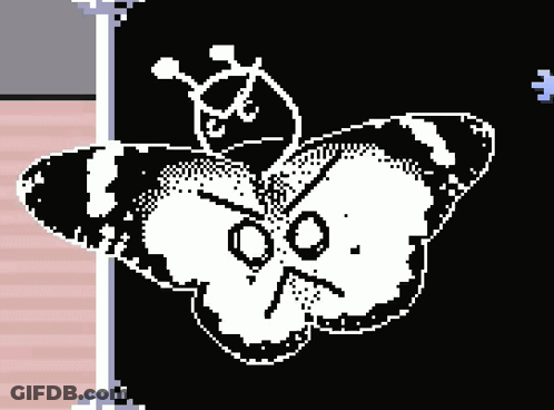 Angry Black And White Butterfly GIF