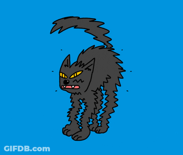 Angry Black Cat Animation GIF
