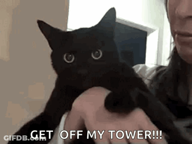 Angry Black Cat Meow Get Off My Tower GIF