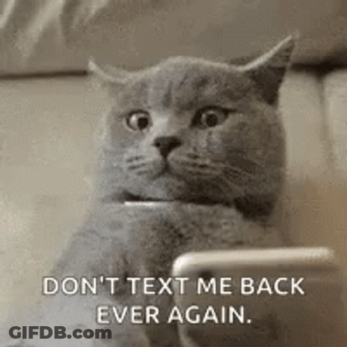 Angry Black Cat Text Back Again GIF