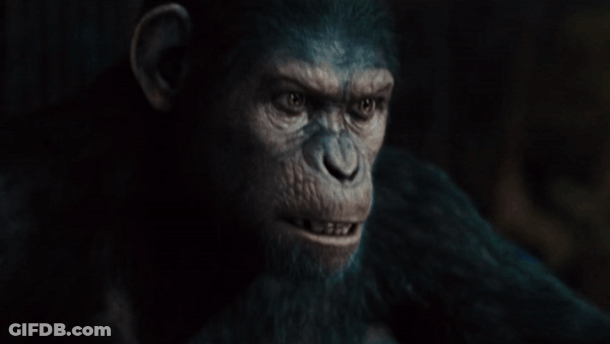 Angry Caesar Says No GIF
