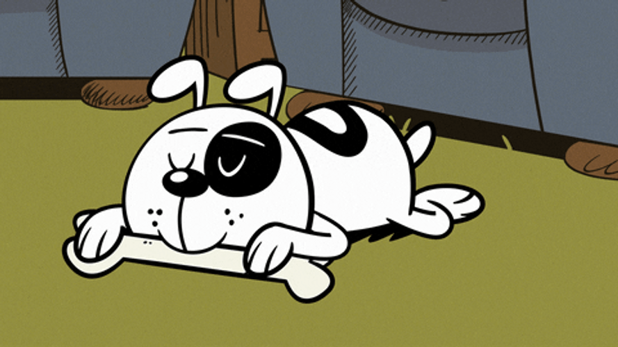 Angry Cartoon Dog Bone Snatched GIF