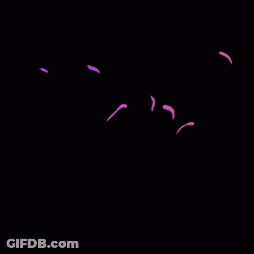 Angry Cartoon Salt Shaker GIF