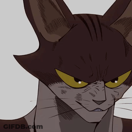 Angry Cat GIF