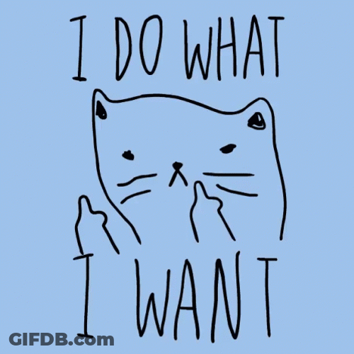 Angry Cat I Do What I Want GIF