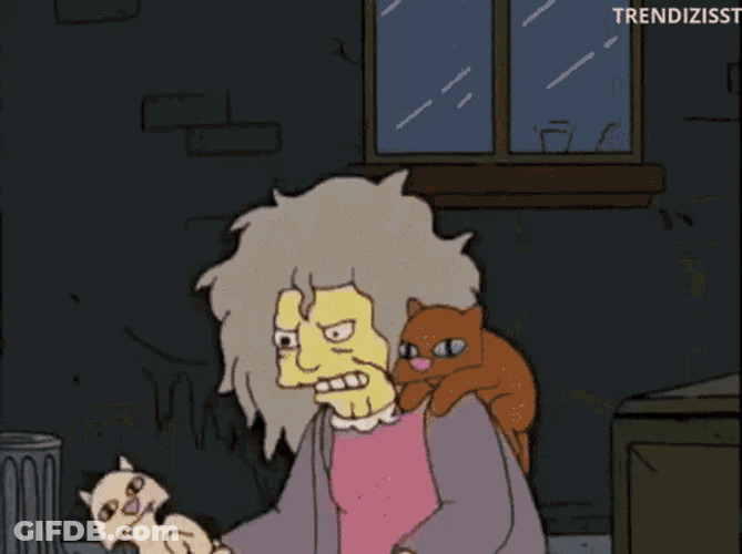 Angry Cat Lady GIF