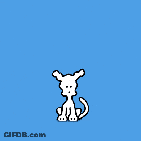 Angry Cat Next Door GIF