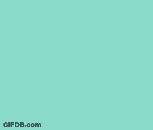 Angry Cat Pointing At Camera GIF