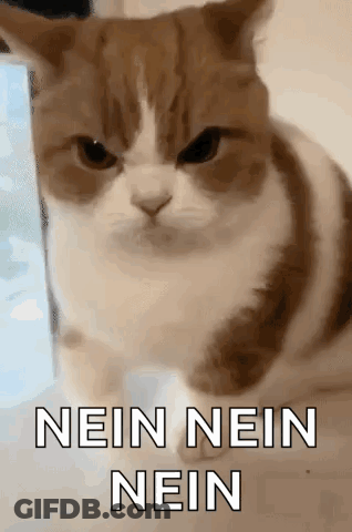 Angry Cat Saying Nein Nein Nein GIF