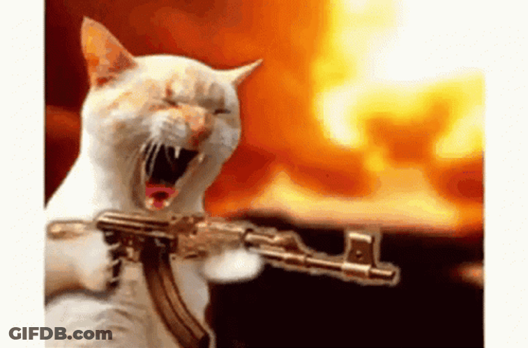 Angry Cat Screaming Firing Gun GIF