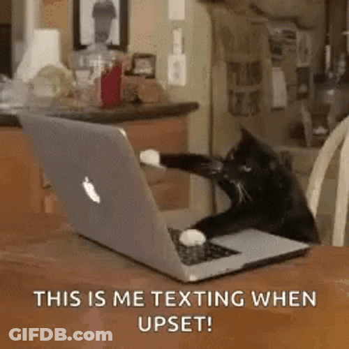 Angry Cat Typing Fast Laptop Meme GIF