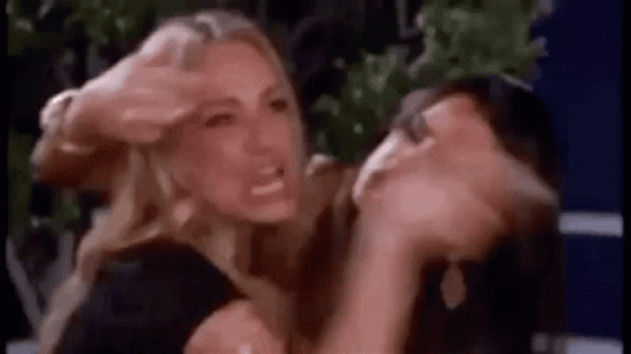 Angry Cat Woman Fight Funny Meme GIF