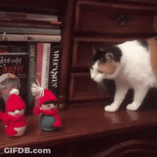 Angry Christmad Cat Sabotage GIF