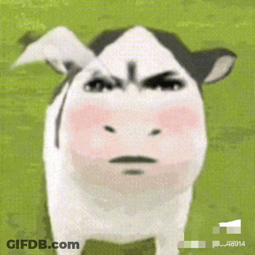 Angry Cow Hashtag 6914 GIF