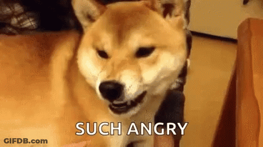 Angry Dog Doge Such Angry Meme Snarling Grr GIF
