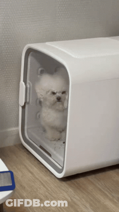 Angry Dog Fan Airy Cage Look Of Anger GIF