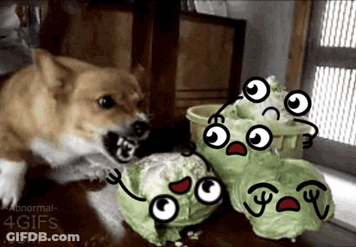 Angry Dog Lettuce Animation Face GIF