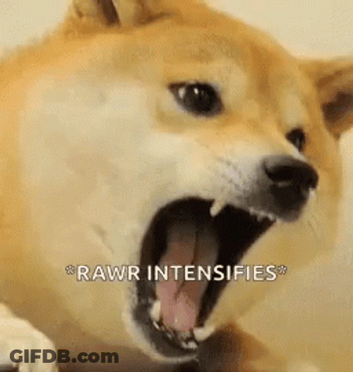 Angry Dog Rawr Intensifies Doge Meme GIF
