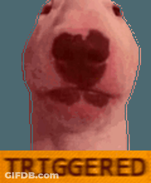 Angry Dog Triggered Snapped Shaking GIF