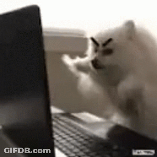 Angry Dog Typing Laptop Triggered GIF