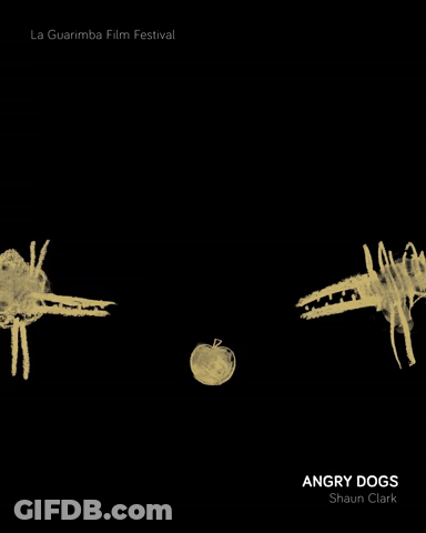 ANGRY DOGS By La Guarimba Film Festival GIF