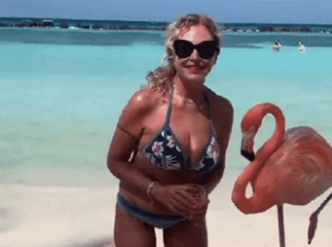 Angry Flamingo GIF