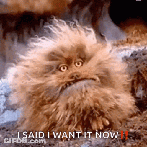 Angry Furry Animal Sitting On Ground GIF