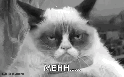 Angry Grumpy Cat In Black And White GIF