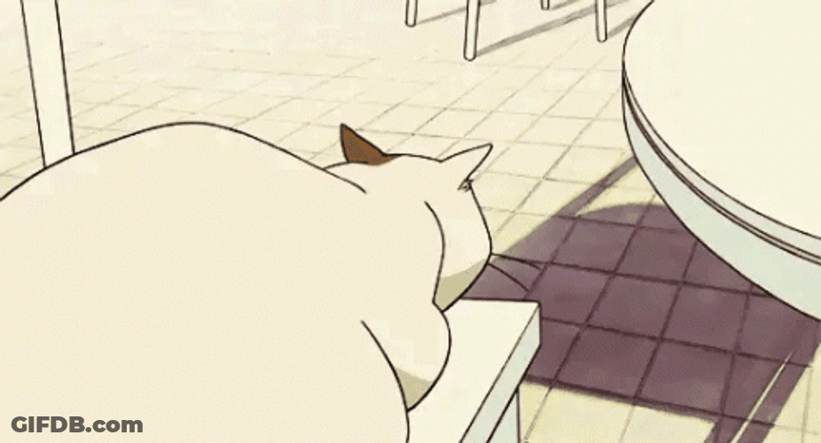 Angry Grumpy Muta The Cat Returns GIF