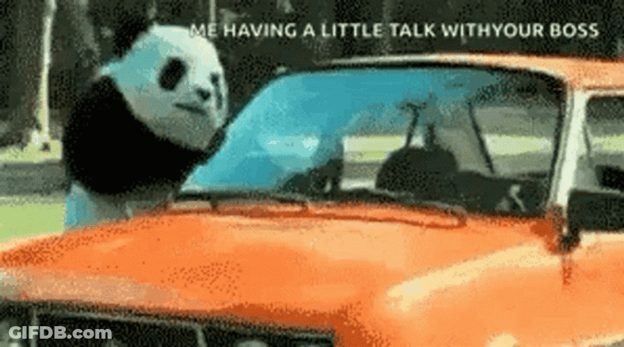 Angry Panda Bad Boss GIF