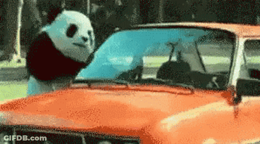 Angry Panda Breaking Car Glass GIF