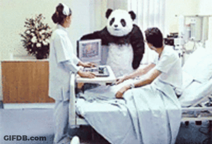 Angry Panda Breaking Dextrose GIF