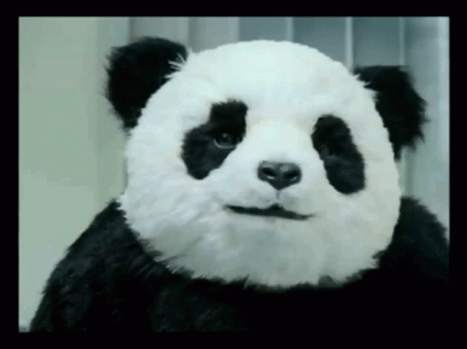 Angry Panda Closing Hospital Machine GIF