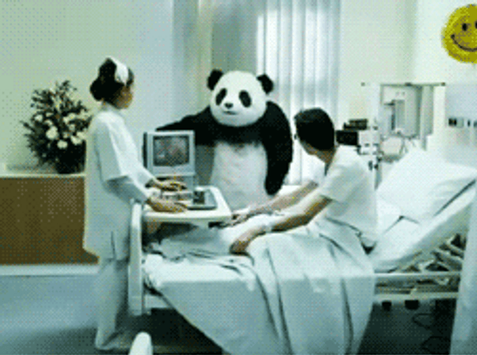 Angry Panda In The Hospital GIF